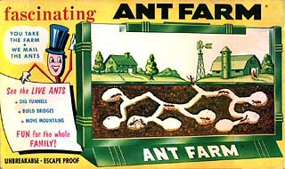 Antfarm 1970.jpg